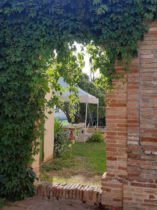 Villa Ginevri, La Casa Vacanze Immersa Nel Verde Mondavio Extérieur photo