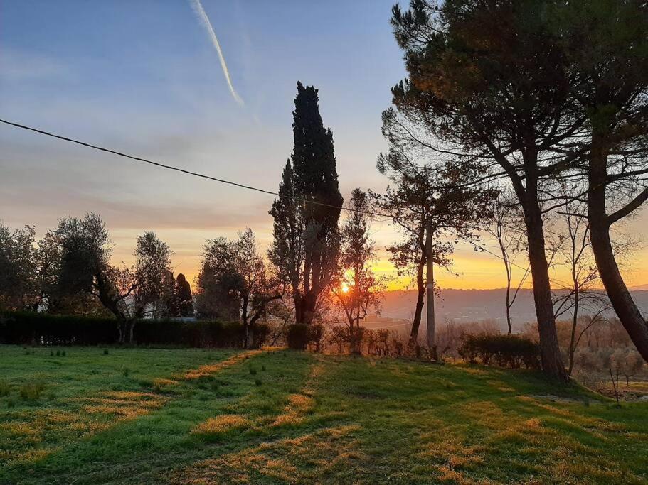 Villa Ginevri, La Casa Vacanze Immersa Nel Verde Mondavio Extérieur photo